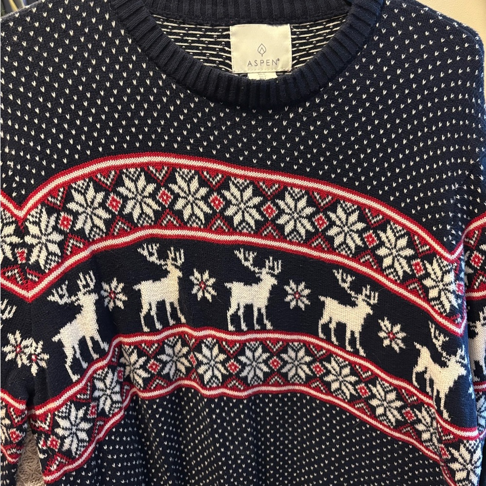 Aspen Navy Reindeer Sweater